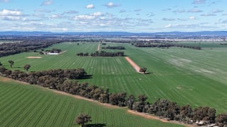 Allengrove Aggregati Warregal Road Tichborne NSW 2870