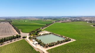 179 Milang Road Belvidere SA 5255