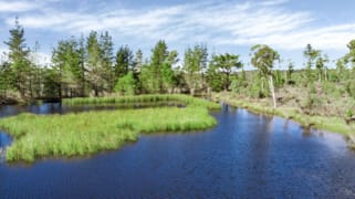 464 Tally Ho Braidwood NSW 2622 464 Tally Ho Braidwood NSW 2622