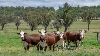 865 Upper Spring Creek Road Spring Creek QLD 4361 865 Upper Spring Creek Road Spring Creek QLD 4361