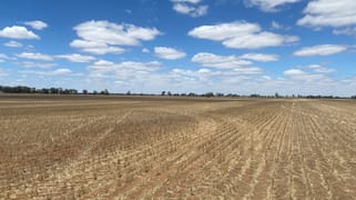 Warracknabeal VIC 3393