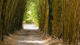 1171 Eumundi - Kenilworth Road Belli Park QLD 4562