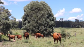Lot 18 & 19/110 Greentree Lane, Beeron Mundubbera QLD 4626