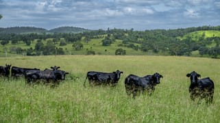 3128 Manumbar Road Elgin Vale QLD 4615
