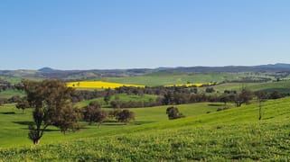 4781 Muttama Road Cootamundra NSW 2590