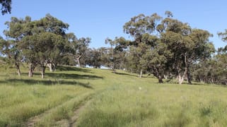 Golden Highway Cassilis NSW 2329