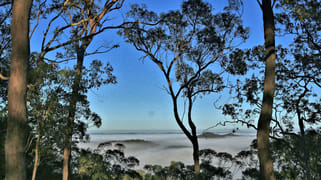 Milsons Arm Road Wollombi NSW 2325