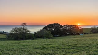 164 Princes Highway Kiama NSW 2533