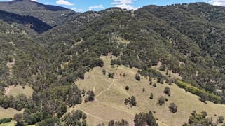 168 Carters Rd Stewarts Brook NSW 2337