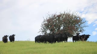 94 Reservoir Lane Braidwood NSW 2622 94 Reservoir Lane Braidwood NSW 2622