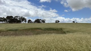 Lot 189 and 323 Roy Lawries Road Lochaber SA 5271