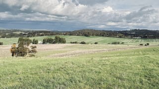 Lot 20 Macdonald Rd Stanley Flat SA 5453