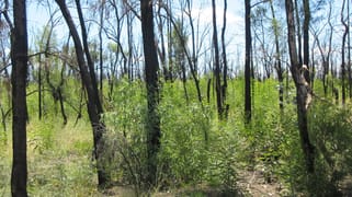 4645 Tara Chinchilla Road Tara QLD 4421