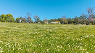 102 Fishers Ridge Rd Mortons Creek NSW 2446