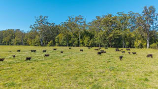 102 Fishers Ridge Rd Mortons Creek NSW 2446