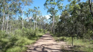 255 Mollenhagens Road Winfield QLD 4670