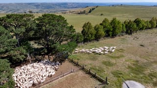 675 Levels Road Golspie NSW 2580