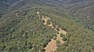 167 Middle Ridge Road Wollombi NSW 2325