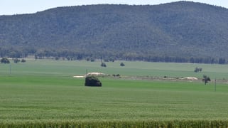 2190 Yarrabandai Road Trundle NSW 2875