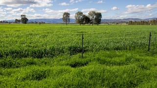 1480 Oxley Highway Tamworth NSW 2340