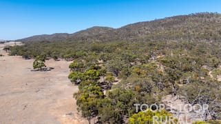 1705 Ngapala Road Ngapala SA 5374