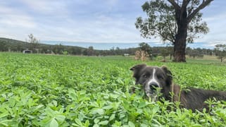 92 Stoney Hill Road Cowra NSW 2794 92 Stoney Hill Road Cowra NSW 2794