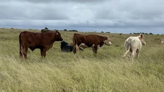 Lot 125 Mount McEuen Road Hivesville QLD 4612 Lot 125 Mount McEuen Road Hivesville QLD 4612