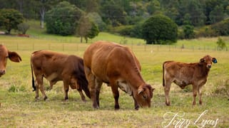 85-101 F Lindsay Road Rocksberg QLD 4510