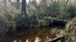 14 Ningee Nimbell Creek Road Braidwood NSW 2622 14 Ningee Nimbell Creek Road Braidwood NSW 2622