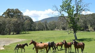95 Bago Forest Road Tumbarumba NSW 2653