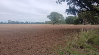 Tooraweenah NSW 2817