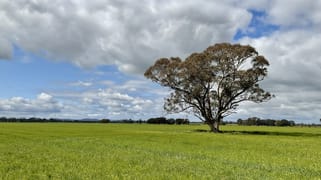Bridgewater-Maldon Road Laanecoorie VIC 3463