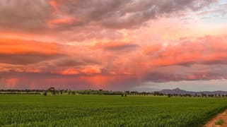 2294 Lockhart-the Rock Road The Rock NSW 2655