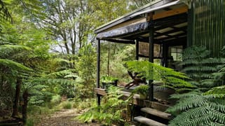 776 Lower Bielsdown Road Tallowwood Ridge NSW 2453