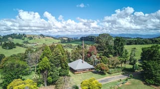 Dorrigo NSW 2453