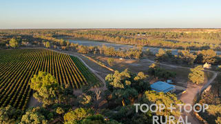 365 Murraylands Road Morgan SA 5320 365 Murraylands Road Morgan SA 5320
