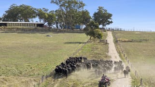 284 Blackhill Road Kyneton VIC 3444