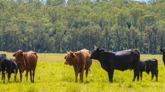 771 Ewingar Road Ewingar NSW 2469 771 Ewingar Road Ewingar NSW 2469