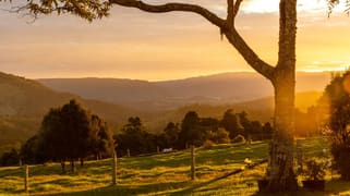 525 Maleny Kenilworth Road Witta QLD 4552 525 Maleny Kenilworth Road Witta QLD 4552