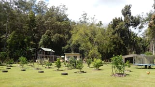1167 Darkwood Road Darkwood NSW 2454