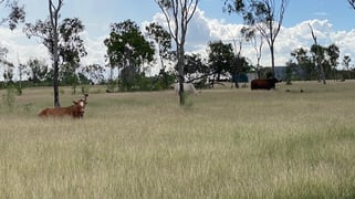 51 Spring Creek Road, Wycarbah QLD 4702