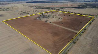4977 Wirrinya Road Wirrinya NSW 2871 4977 Wirrinya Road Wirrinya NSW 2871