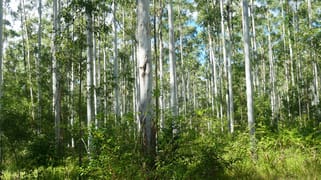 146 Mills Road Bean Creek NSW 2469