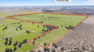 85 Brown Road Teal Point VIC 3579