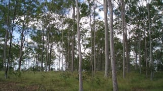 Pine Creek QLD 4670
