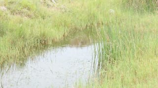 Mount Perry QLD 4671