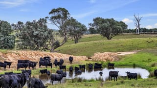 127 Balgonie Lane Perry Bridge VIC 3862