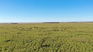 24265 Moonie Highway St George QLD 4487 24265 Moonie Highway St George QLD 4487