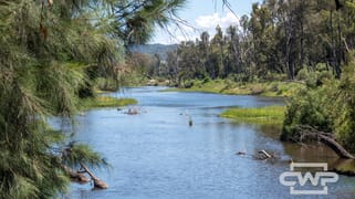 63, 9699 Bruxner Way Bonshaw NSW 2361 63, 9699 Bruxner Way Bonshaw NSW 2361