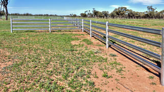 Narran Lake Road Brewarrina NSW 2839